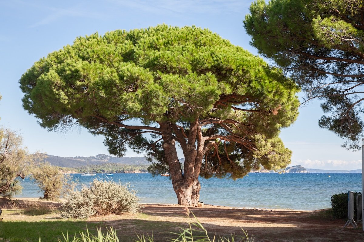 Côte d’Azur : l’arrière‑pays séduit les touristes